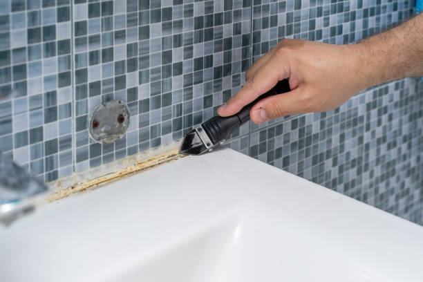 Best Mold Testing  in Countryside, IL